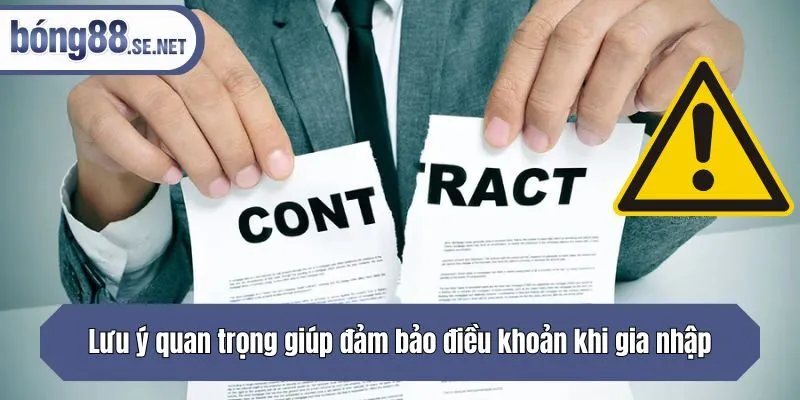 Lưu ý quan trọng giúp đảm bảo điều khoản khi gia nhập