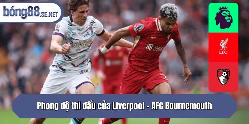 Phong độ thi đấu của Liverpool - AFC Bournemouth